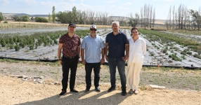  Anadolu Üniversitesinde tıbbi ve aromatik bitkiler bilimle değer kazanıyor