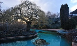 Sosyal ve Kültürel Tesisler