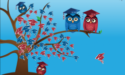 Anadolu Üniversitesi Mezuniyet Töreni 2015