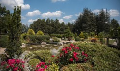 Anadolu Üniversitesi'nde Yaz 2017